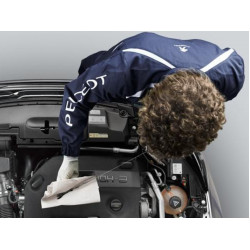 Peugeot Diag Support